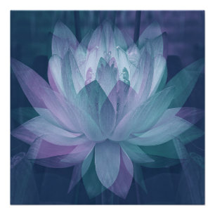 Rustig... Perfect Poster