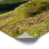 Rustig uitzicht vanaf Pendle Hill... Poster (Hoek)