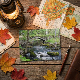 Rustig water: Gleason Falls Road-brug Briefkaart