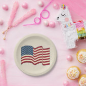 Rustige Amerikaanse Borden voor vlagpapier Papieren Bordje (Feest)