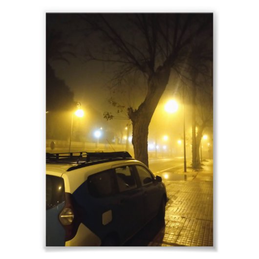 Rustige Avondval gehuld in Mist  Foto Afdruk (Voorkant)