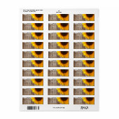 Rustige Barn Wood Lace westerne landzonnebloem Etiket (Full Sheet)