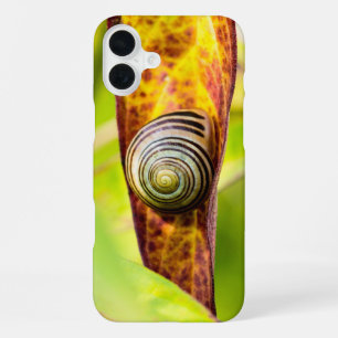 rustige bevestiging Case-Mate iPhone hoesje iPhone 16 Plus Hoesje