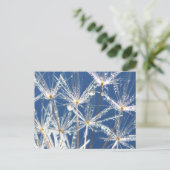 Rustige blauwe en witte paardenbloem met dauw briefkaart (Staand voorkant)