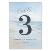 Rustige Blauwe Strandgolven Kaart (Achterkant)