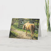 Rustige Boerderij Paarden Kaart (Voorkant)