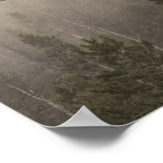 Rustige bosweiden met een misty-landschapsbruiloft poster (Hoek)