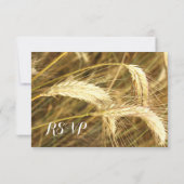 Rustige country wheat field Boerderij Wedding RSVP (Achterkant)