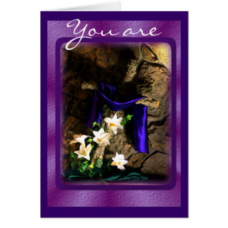 Rustige crossaanpassing