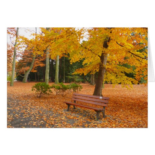 Rustige en rustige herfst in het park (Voorkant Horizontaal)