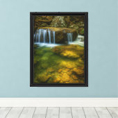 Rustige Forest Stream Ingelijste Canvas Art Print (Insitu (Houten vloer))