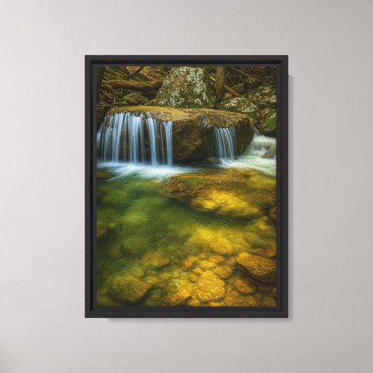 Rustige Forest Stream Ingelijste Canvas Art Print (Voorkant)