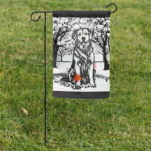 Rustige GLEN Golden Retriever