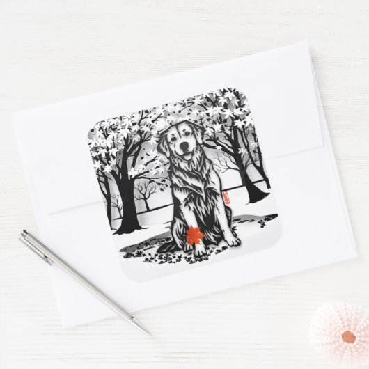 Rustige GLEN Golden Retriever Vierkante Sticker (Envelop)