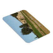 Rustige gouden kleuren van wijnmakerijen: Toscane  Magneet (Rechterzijde)