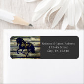 rustige grijze schuur, western paard, bruiloft etiket (Insitu)