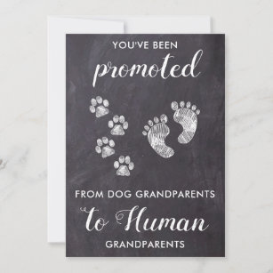 Rustige grootouders Zwangerschap Hondenliefhebber  Aankondiging