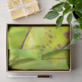 rustige hechting tissuepapier (Geschenk)