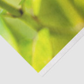 rustige hechting tissuepapier (Detail)