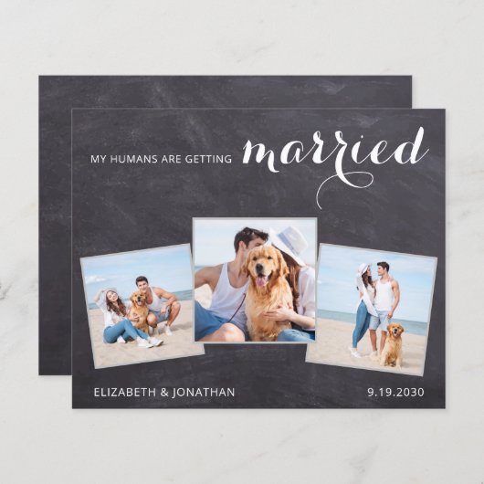 Rustige Hondenbruiloft 3 Foto Budget Save The Date (Voorkant / Achterkant)