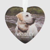 Rustige houten verven Gedeeltelijk Ornament (achterkant)