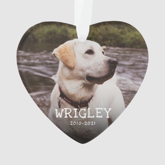 Rustige houten verven Gedeeltelijk Ornament (achterkant)