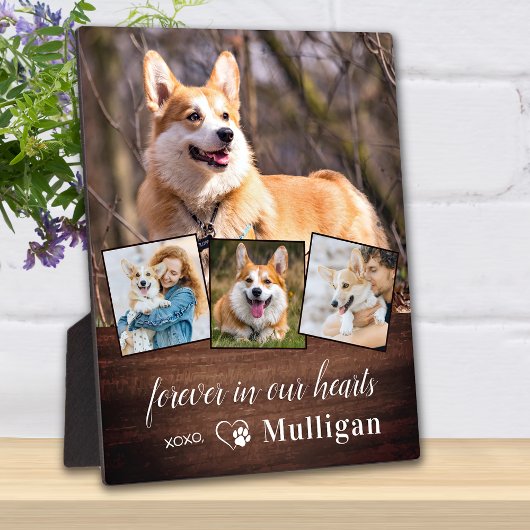 Rustige huisdierhond-herdenking Aangepaste 4 foto- Fotoplaat