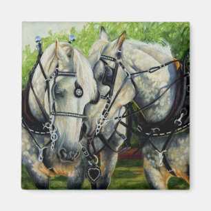 Rustige kracht - Percheron Paard Team Magneet