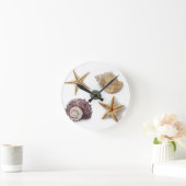 rustige kuststrook kreeft zeeschildvis ronde klok (Huis)