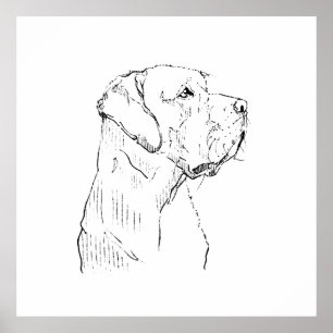 Rustige Labrador Retriever Muurkunst, Handgetekend Poster