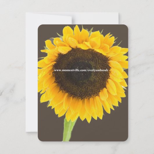 Rustige Landenkwekerij - Zonnebloem sparen de Datu Save The Date (Achterkant)