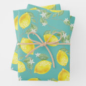 Rustige landlogo's en Zee groen Inpakpapier Vel (In situ)