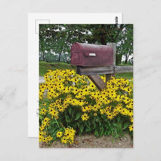 Rustige mailboxkunst briefkaart (Voorkant / Achterkant)