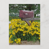 Rustige mailboxkunst briefkaart (Voorkant)