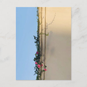 Rustige Moment Foto Briefkaart