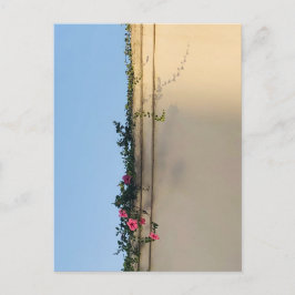 Rustige moment foto briefkaart