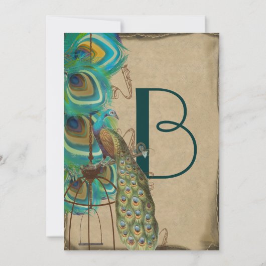 Rustige Musical Peacock Birdcage Feather Wedding Kaart (Achterkant)