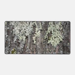 Rustige Natuur Mossy Bark Oak - Boom foto Bureaumat
