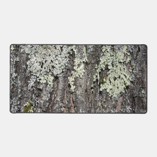 Rustige Natuur Mossy Bark Oak - Boom foto Bureaumat (Voorkant)