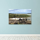 Rustige oevers van Lake Bolac Canvas Afdruk (Insitu (Houten vloer))
