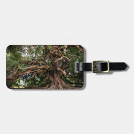 Rustige Olijfboom Bagagelabel