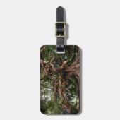 Rustige Olijfboom Bagagelabel (Voorkant verticaal)