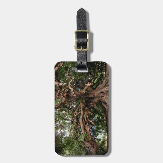 Rustige Olijfboom Bagagelabel (Voorkant verticaal)