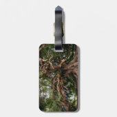 Rustige Olijfboom Bagagelabel (Achterkant verticaal)