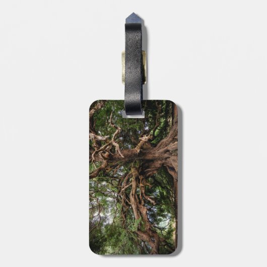 Rustige Olijfboom Bagagelabel (Achterkant verticaal)