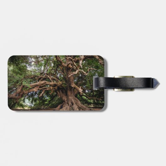 Rustige Olijfboom Bagagelabel (Achterkant horizontaal)
