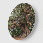 Rustige Olijfboom Grote Klok (Hoek)