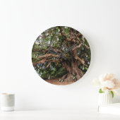 Rustige Olijfboom Grote Klok (Huis)