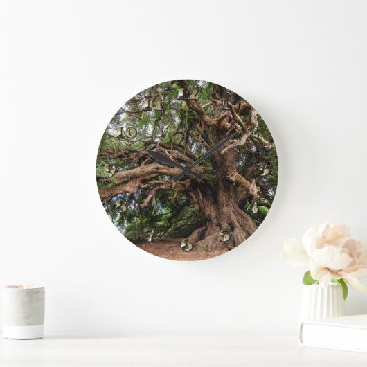 Rustige Olijfboom Grote Klok (Huis)
