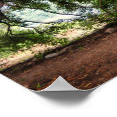 Rustige Olijfboom Poster (Hoek)